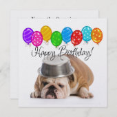 Funny Bulldog - Einladung zum Geburtstag - SRF (Vorne/Hinten)