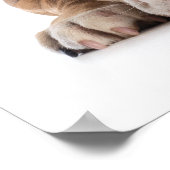 Funny Bulldog Fashion - Poster - srf (Ecke)