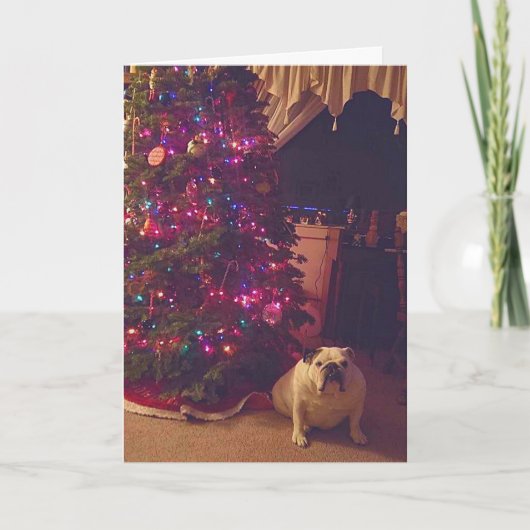 Funny Bulldog Foto Weihnachtskarte Feiertagskarte (Vorderseite)