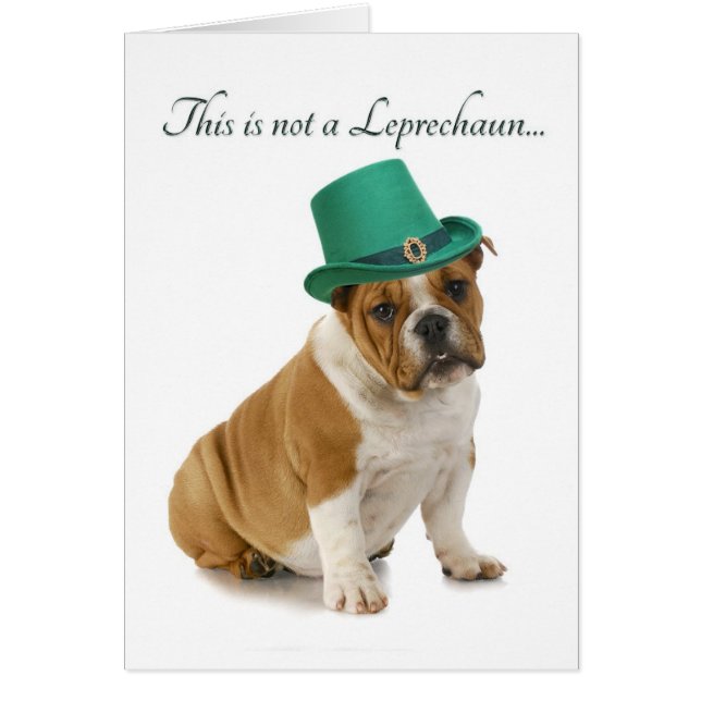 Funny Bulldog Leprechaun Card (Vorne)