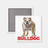 Funny Bulldog Lover Funny Bully Puppy Dog Magnet (Vorderseite/Rückseite)