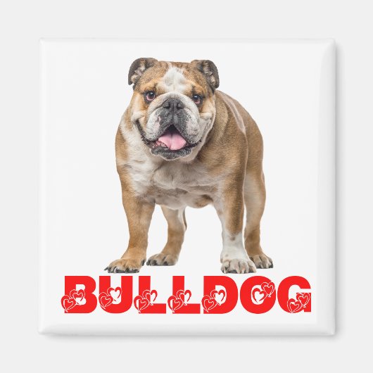 Funny Bulldog Lover Funny Bully Puppy Dog Magnet (Vorne)