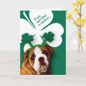 Funny Bulldog St. Patrick's Day Grußkarte Karte (Gelbe Blume)