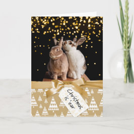Funny Bunny Christmas Card Feiertagskarte