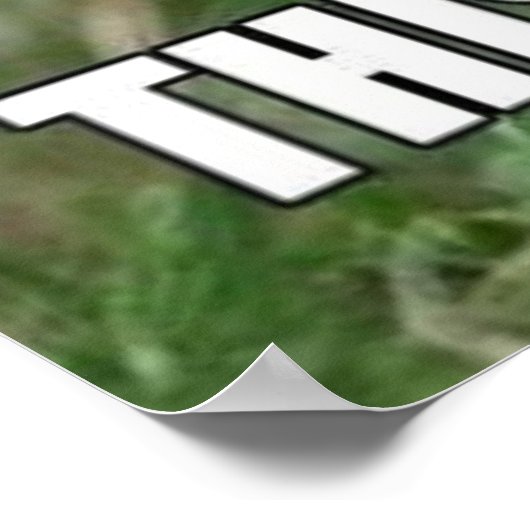 Funny Bunny Poster (Ecke)