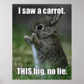 Funny Bunny Poster (Vorne)