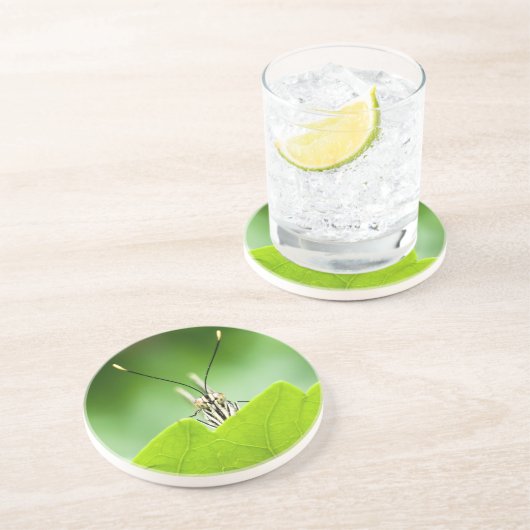 Funny Butterfly Flüchtigen Blicke über Leaf Getränkeuntersetzer (Seite)