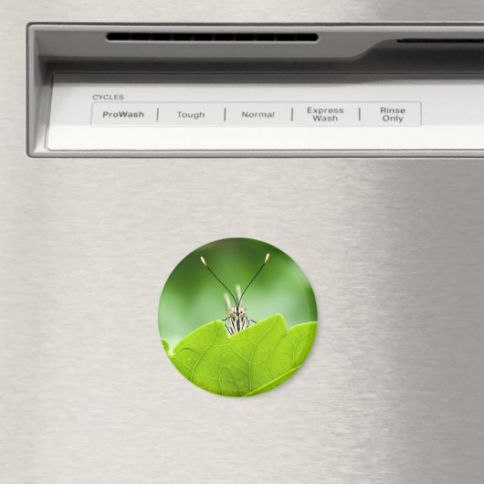 Funny Butterfly Flüchtigen Blicke über Leaf Magnet (In Situ (Geschirrspüler))