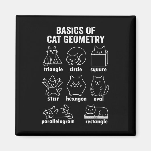 Funny Bysics Of Cat Geometry Byck To School Math T Magnet (Vorne)