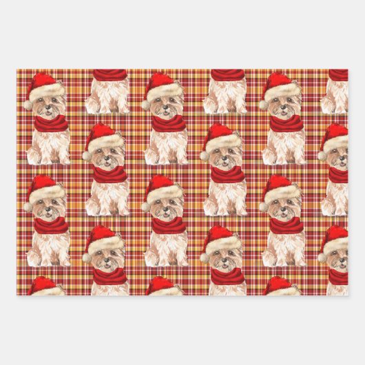 Funny Cairn Weihnachtshund und Urlaub Kariert Geschenkpapier Set (Vorderseite 3)