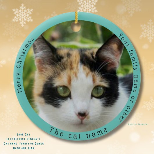 Funny Calico Cat Besuchen Santa mit Unglaublich wi Keramik Ornament