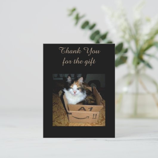 Funny Calico Cat in Box Danke Postcard Postkarte (Stehend Vorderseite)
