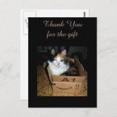 Funny Calico Cat in Box Danke Postcard Postkarte (Vorne/Hinten)