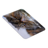 Funny Calico Persian Cat Premium Magnet (Rechte Seite)