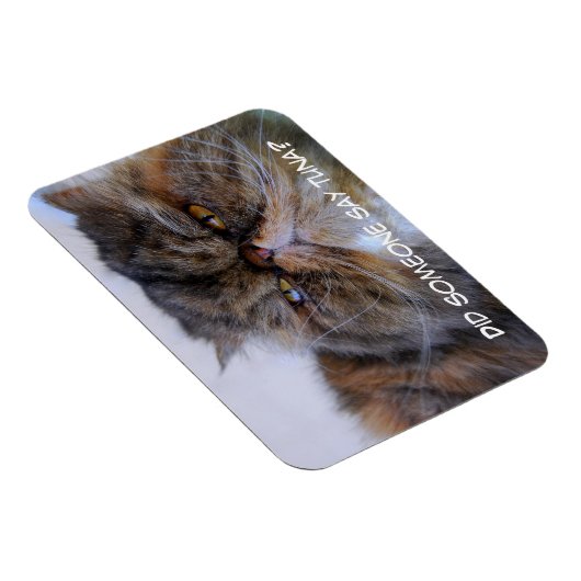 Funny Calico Persian Cat Premium Magnet (Rechte Seite)