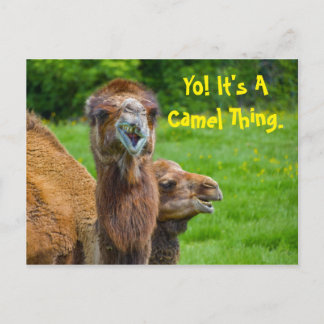 Funny Camel Animal Postkarte