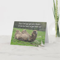 Funny Camel Birthday