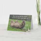 Funny Camel Birthday Karte (Vorderseite)