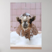 Funny Camel Bubble Bath Art, Whimsical Animal Poster (Vorne)