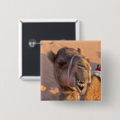 Funny Camel Button (Vorne & Hinten)