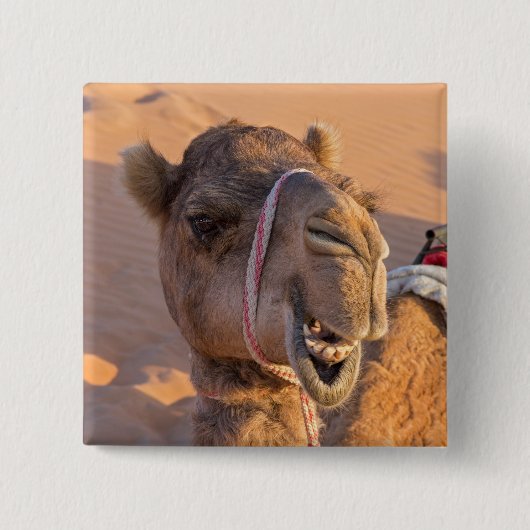 Funny Camel Button (Vorderseite)
