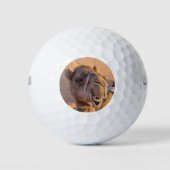 Funny Camel Classic Golfball (Vorderseite)