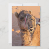 Funny Camel Einladung (Vorderseite)