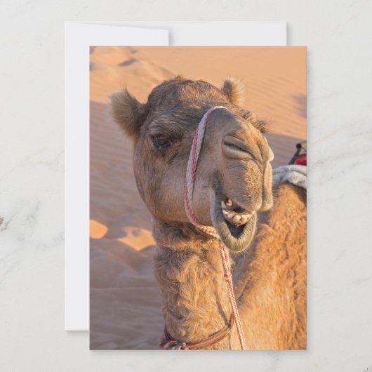 Funny Camel Einladung (Vorderseite)
