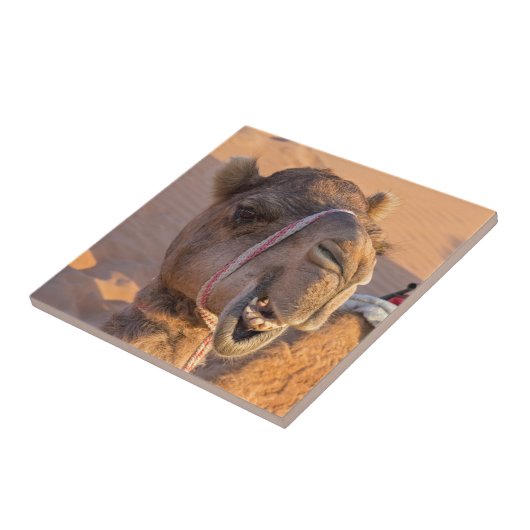 Funny Camel Fliese (Seite)