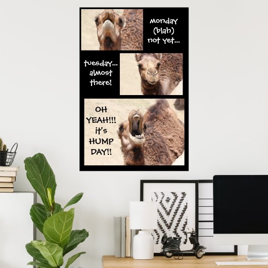 Funny Camel Hump Day COUNTDOWN Poster (24x36) (Heimbüro)