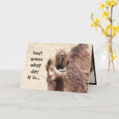 Funny Camel Hump Day Retirement Card Karte (Gelbe Blume)