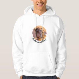 Funny Camel Kopf in Oman Wahiba Wüste Hoodie