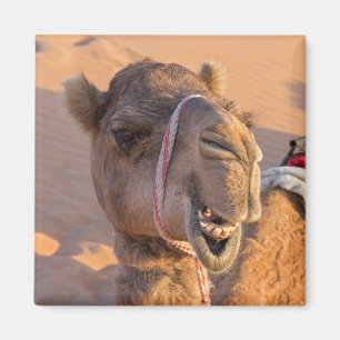 Funny Camel Magnet