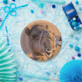 Funny Camel Pappteller (Party)