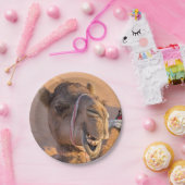 Funny Camel Pappteller (Party)