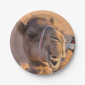 Funny Camel Pappteller (Vorderseite)