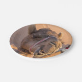 Funny Camel Pappteller (Schrägansicht)