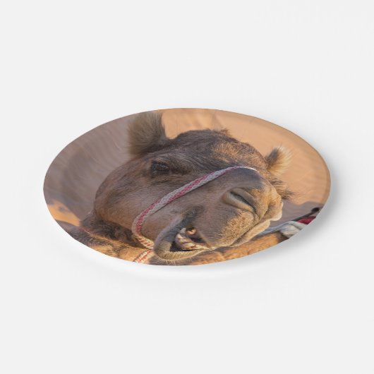 Funny Camel Pappteller (Schrägansicht)