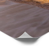 Funny Camel Poster (Ecke)