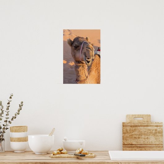 Funny Camel Poster (Küche)