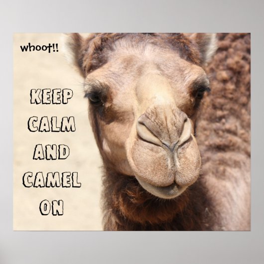 Funny Camel Poster Behielt Calm und Camel On (whot (Vorne)