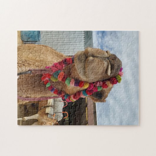 Funny Camel Puzzle (Horizontal)
