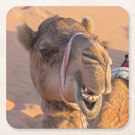 Funny Camel Rechteckiger Pappuntersetzer (Vorderseite)