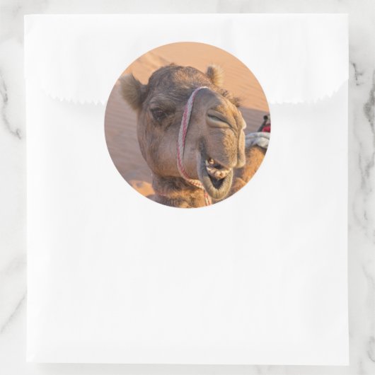 Funny Camel Runder Aufkleber (Tasche)