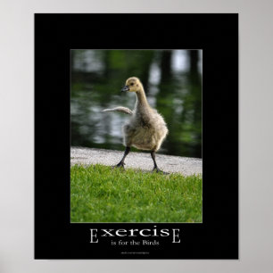 Funny Canada Goose Gosling Exercure Demotivational Poster