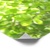 Funny Capuchin Monkey Poster (Ecke)