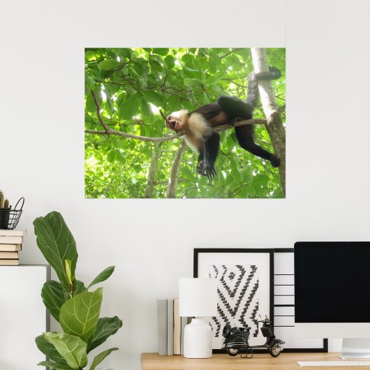 Funny Capuchin Monkey Poster (Heimbüro)