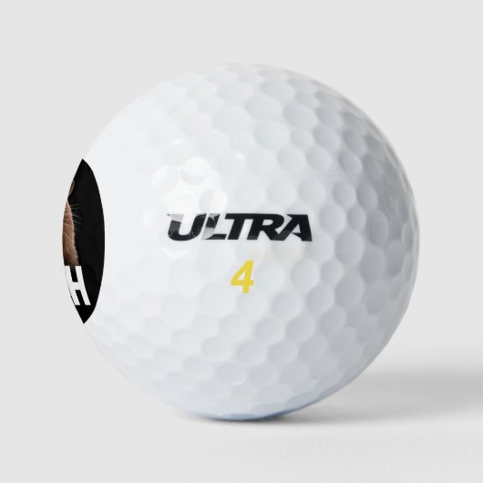 Funny Capybara Bruh Golfball (Logo)
