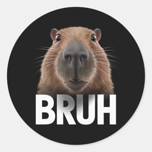 Funny Capybara Bruh Runder Aufkleber (Vorderseite)