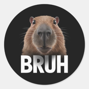 Funny Capybara Bruh Runder Aufkleber